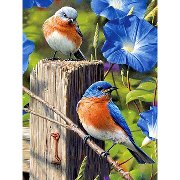 Taladro Diamante Pintura (DE4148) 5D DIY Completo Pájaro Bordado Mosaico Craft Kit (B379) 50x70cm Hugtrwg Para estrenar
