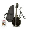 Rogue RM-100A A-Style Mandolin Black - Beginners Package