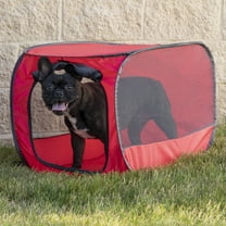 Vibrant Life Soft-Sided 32" Pop-up Mesh Dog Kennel, Red, Medium