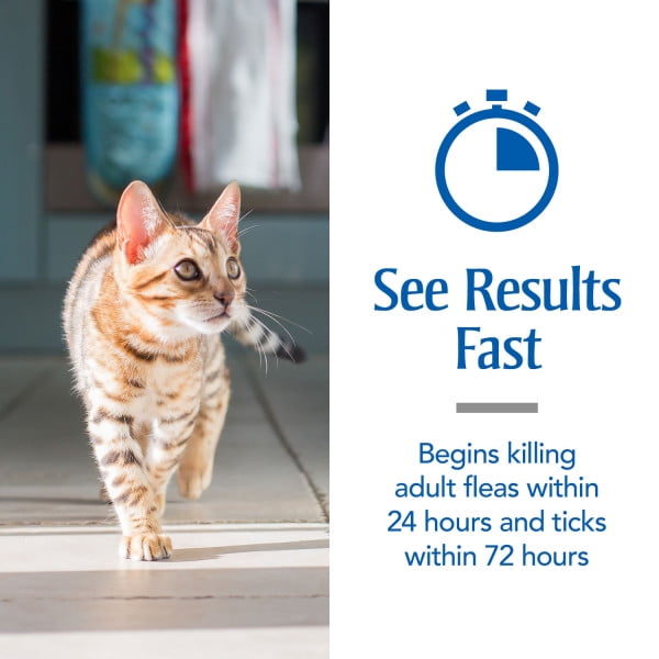 flea dip for cats walmart