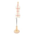 thumbnail image 1 of Adjustable Female Mannequin Torso Dress Form Lightweight Portable Dressmaker Sewing Photography Display Ideal for Tailors, Bridal Shops, Useful Teaching Tool for Students, 1 of 7