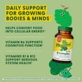 thumbnail image 4 of MegaFood Kids B Complex - Supports Cellular Energy with B Vitamins - 30 Mini Tablets, 4 of 8