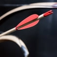 thumbnail image 4 of Masteelf  20 Pcs Arrow Vanes Archery Accessories Small Fletchings Red, 4 of 8