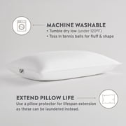 Sobel Westex Sahara Nights | Stomach & Back Sleeper Pillow for Adults | 233TC, 100% Cotton Case, Gel Fiber Fill | Soft, Machine Washable Hotel Quality Pillow for Sleeping (Queen )