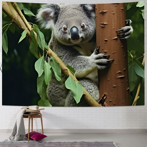 SHERONV Tapestry Wall Hanging Koala Bear Wild Aussie Zoo Sit Species Outback Animals Australia Wildlife Relaxation Trunk Natural Bedspread Picnic Sheet Wall Decor 40x30inch
