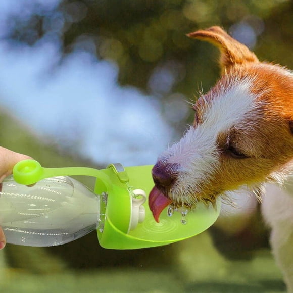 Xihbxyly Botella de Agua Portátil para Perros, Diseño Ideal para Viajes, Dispensador a Prueba de Fugas, Fácil de Transportar, Esencial para Aventuras Al Aire Libre, Sin Bpa, Capacidad de 600 Ml, Tama