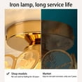 thumbnail image 3 of AMERTEER LED Frosted Crystal Petals Ceiling Light 220V LED Aisle Light Gold Ceiling Light Fitting Corridor Lamp Fixture Equipment without Light Bulb, 3 of 9