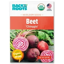 Back to the Roots Organic Beet 'Chioggia', 1 Seed packet