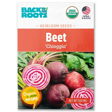 Back to the Roots Organic Beet 'Chioggia', 1 Seed packet