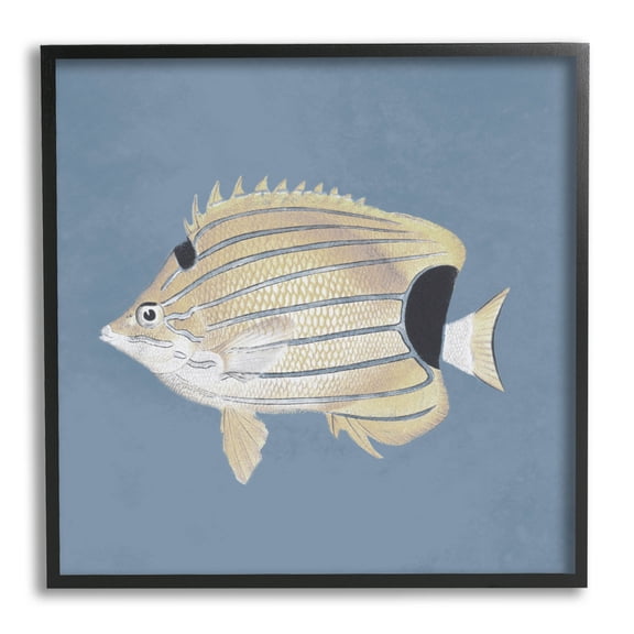 Striped Fish Portrait Blue Background Animals & Insects Graphic Art Black Framed Art Print Wall Art