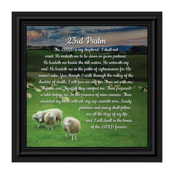 23rd Psalm, Framed Bible Verse from Psalms, Comfort and Encouragement for the Hurting 8x8 8654