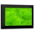 thumbnail image 1 of Murdock, Ramona 14x11 Black Modern Framed Museum Art Print Titled - Spring Green II, 1 of 5