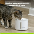 thumbnail image 3 of Premier Pet Multi Cat Fountain 54 oz, 3 of 8