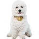 thumbnail image 5 of Juego de collar y correa para perro con pajarita. Bandana ajustable para perros, patrón clásico a cuadros, 5 of 5