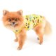 thumbnail image 4 of Camiseta Hawaiana NQ Malla con Piña para Perros Pequeños, 4 of 4