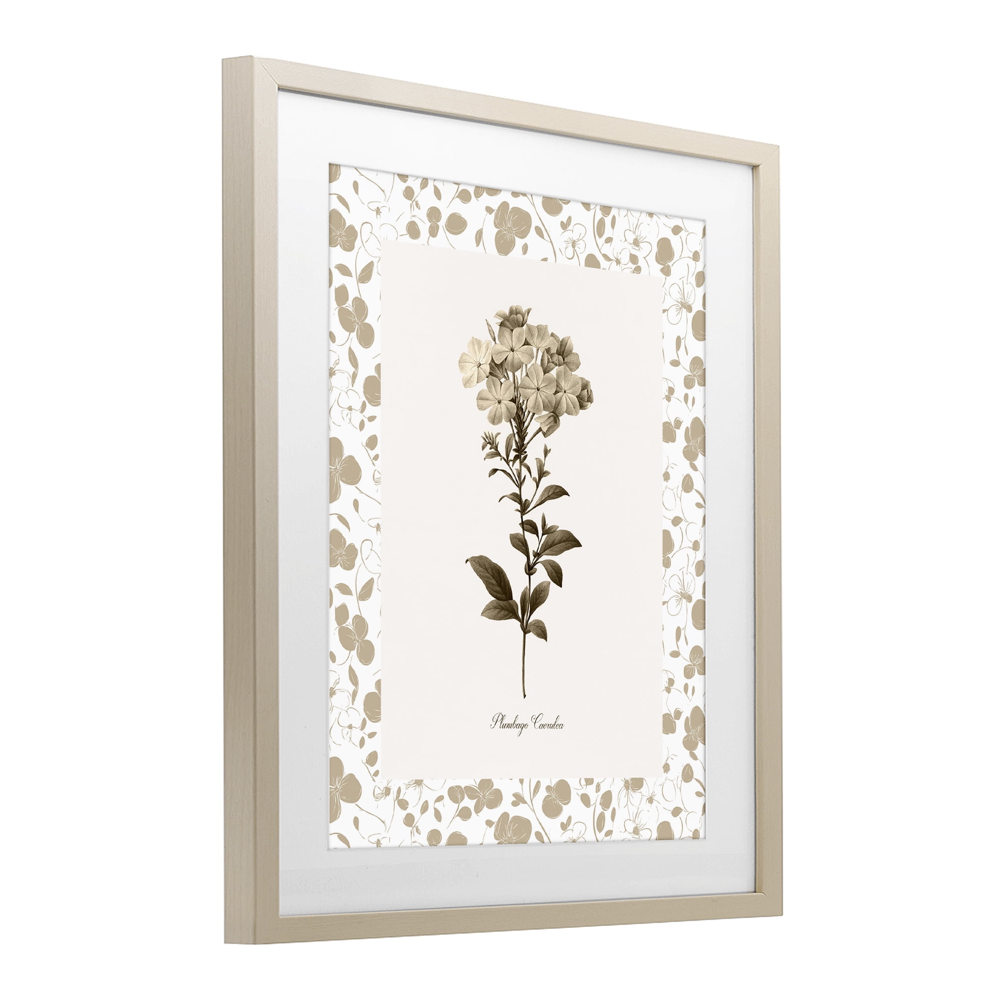 Stupell Industries Neutral Imperial Botanical Birch Framed Print Under Glass, design by Kelly Donovan