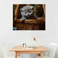 thumbnail image 2 of JRXY Scottish Fold Gray Kitten In Wicker Basket Poster Canvas Print Painting Picture Wall Art Bedroom Living Room Decor 20x16in, 2 of 4