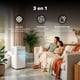 thumbnail image 5 of AVERA Aire acondicionado portátil 3 en 1: Enfriador, Ventilador y Deshumidificador, 115V, Temperatura 17 a 30°C, Cobetura de hasta 16 m2 | ACIP01, 5 of 10