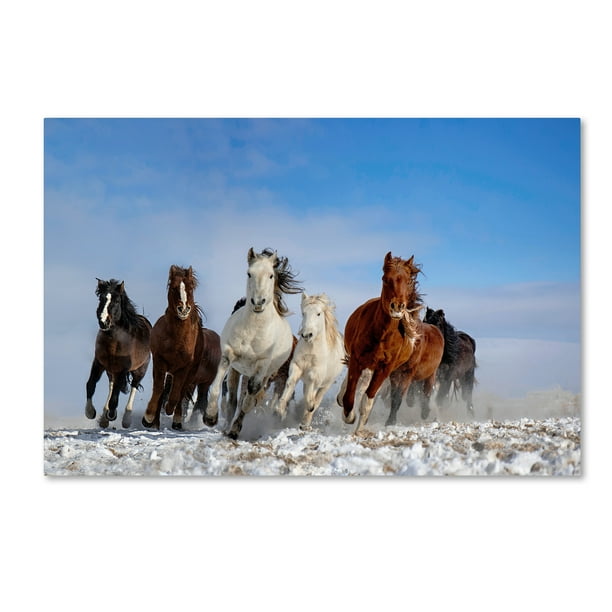 Trademark Fine Art 'Mongolia Horses' Canvas Art by Libby Zhang