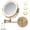 Gold + Iron + Classic, variant on Rechargeable Wall Mounted Makeup Mirror 8'' Magnifying Mirror with Lights Double-Sided 1X/10  360 °   Rotation Extension Bathroom Shaving Mirror with Foldable Arm