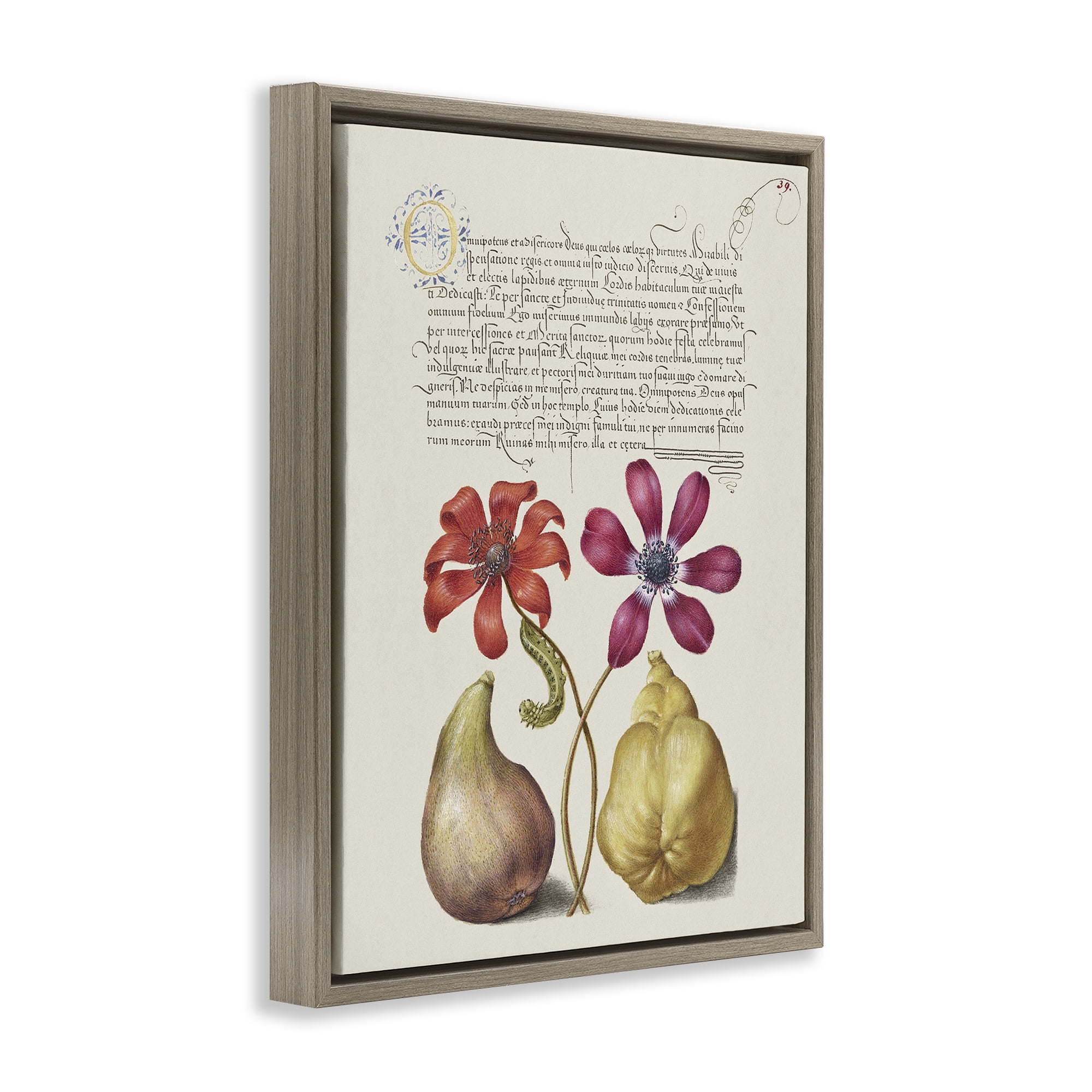Stupell Industries Vintage Nature Page Text & Numbers Painting Brown Floater Framed Canvas Art Print Wall Art, 17 x 21