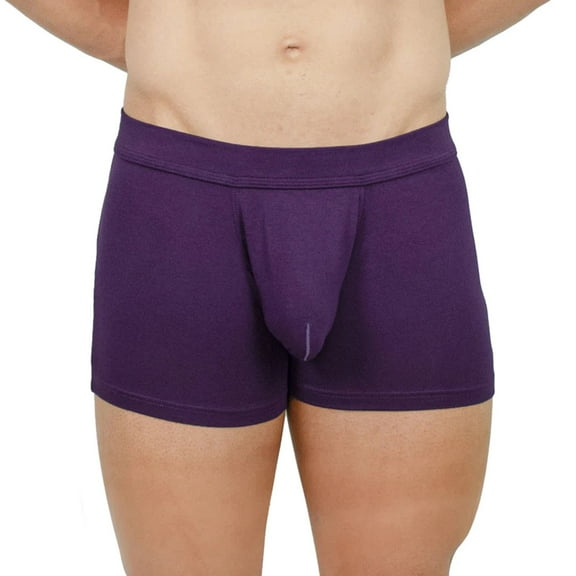 Obviously EliteMan - Boxer Brief 3 inch Leg (Purple, Medium)