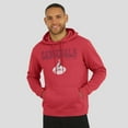 thumbnail image 4 of Men's Darius Rucker Collection by Fanatics  Cardinal Arizona Cardinals Hoodie, 4 of 5