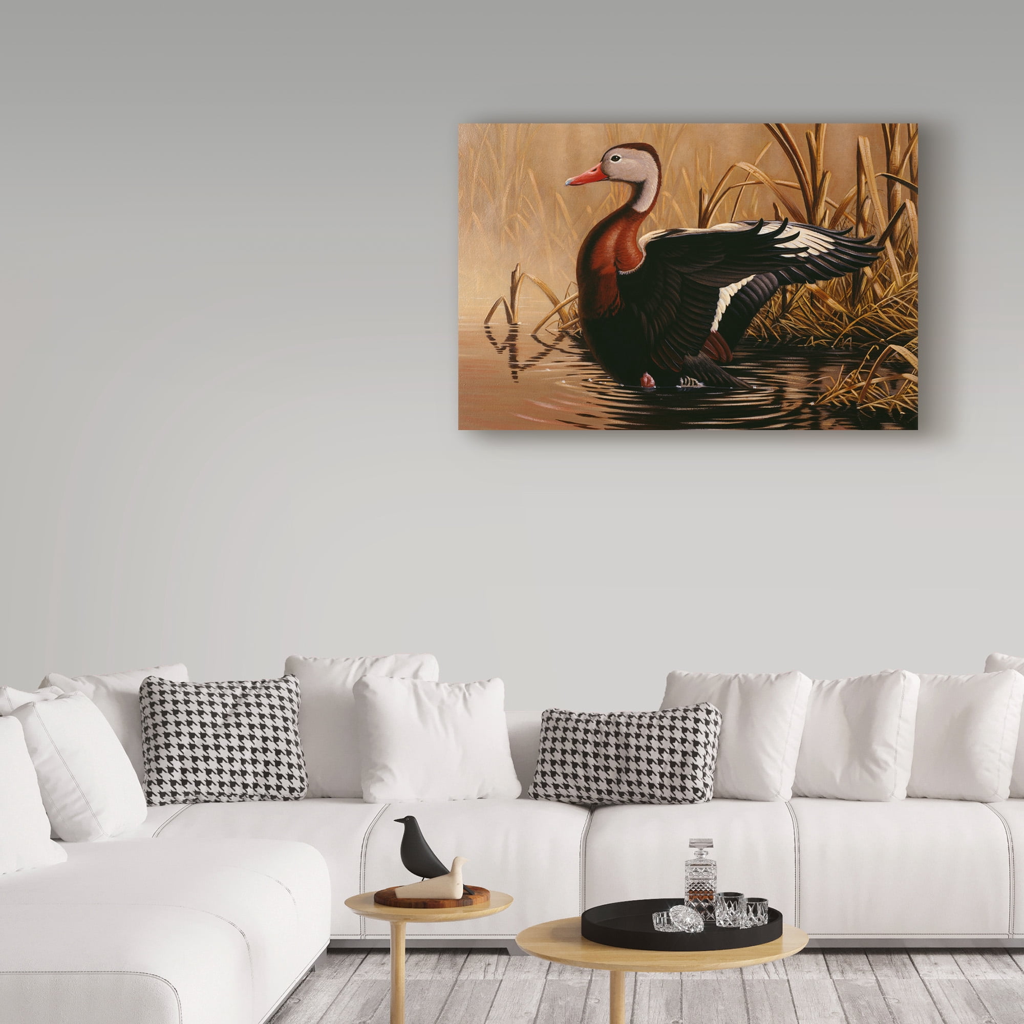 Trademark Fine Art '1988 Black Bellied Duck' Canvas Art by Wilhelm Goebel