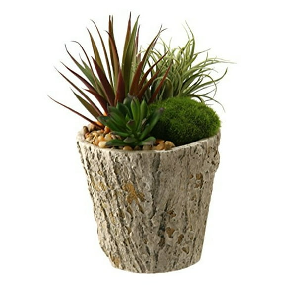 D&W Silks Easter Grass and Succulents in Weathered Oak Look Cement Planter