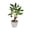 B, variant on Bonsai Tree Artificial Luck Plant Fake Tree for Desk Decor, Small Tabletop Indoor Home Office Decoration, Green
