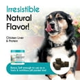 thumbnail image 4 of Balanced Breed Dog Probiotic & Odor Control Chews Bad Breath Digestion Enzyme Supplement Soft Chews, Chicken Flavor, 60 Count Jar, 4 of 7