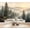 Color 3, variant on Wallpaper Misty Forest Landscape Pine Trees Sunrise Rolling Hills Peel and Stick Wall Murals 100"H x 144"W Removable PVC Wall Paper Self-Adhesive Wall Paintings Art Decor for Bedroom Living Room
