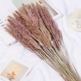 thumbnail image 4 of 30 piezas de flores secas, plantas de caña de pampa secas naturales con caja, flores reales, flores de boda románticas, ramos de totora, sabor duradero para decoración del hogar con fotografía Ormromra LRWJ097-2, 4 of 4