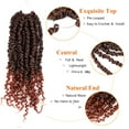 thumbnail image 3 of Umylar de pelo de ganchillo Passion Twist, 25 cm, 8 paquetes para mujeres negras, 3 of 6