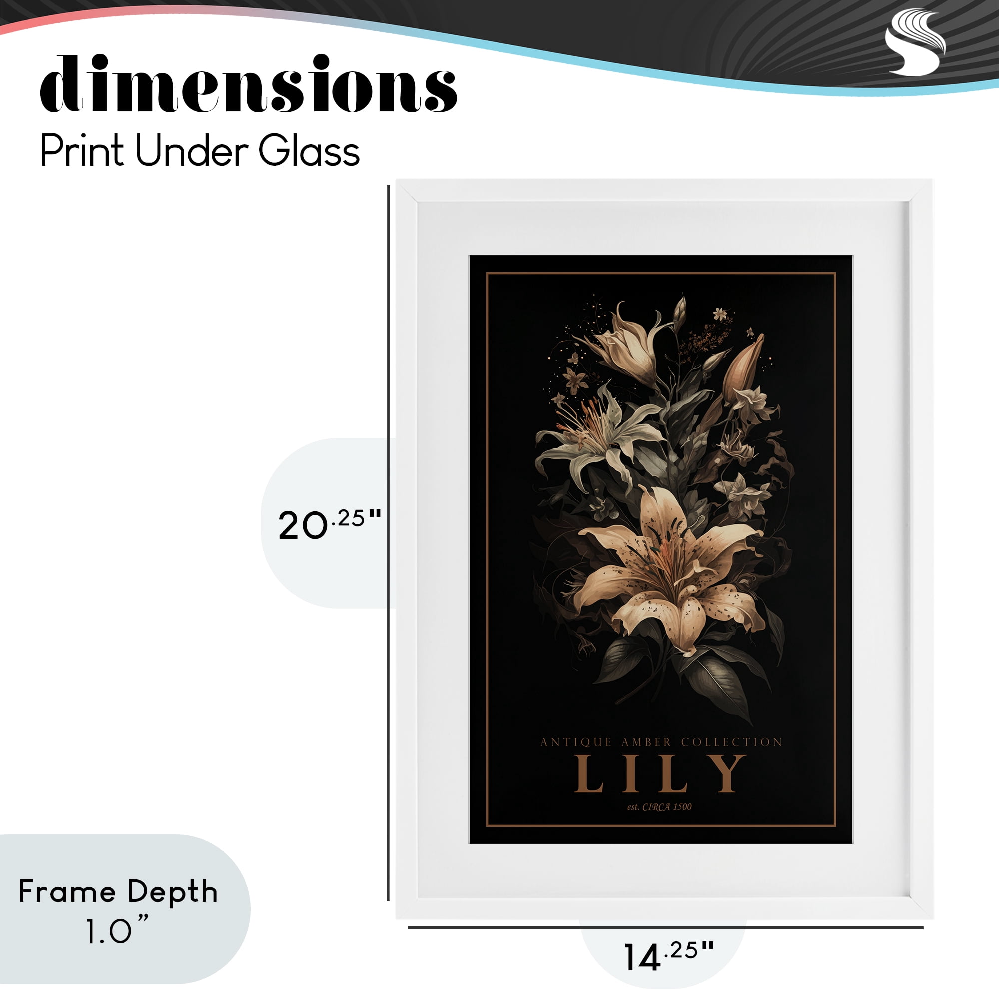 Stupell Industries Antique Lily Light White Framed Print Under Glass, design by Chris Giampietro
