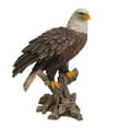 thumbnail image 3 of Pacific Giftware 17.5 inches Large American Bald Sea White-tailed Eagle stand on Wood Figurine Statue, 3 of 4