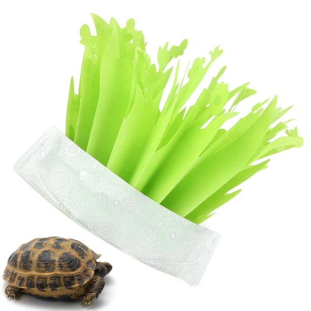 Tortoise humidifier discount