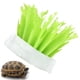 thumbnail image 5 of Y humidificador con caja escondite para reptiles gasificación Natural planta de simulación de humidificación humidificador desconectado para lagartos tortuga ANGGREK Otros, 5 of 8