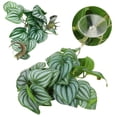 thumbnail image 5 of Reptiles Simulation Leaves Decoration, Fake Leaves Plastic With Powerful Suction Cup For Reptile Tank, 5 of 8