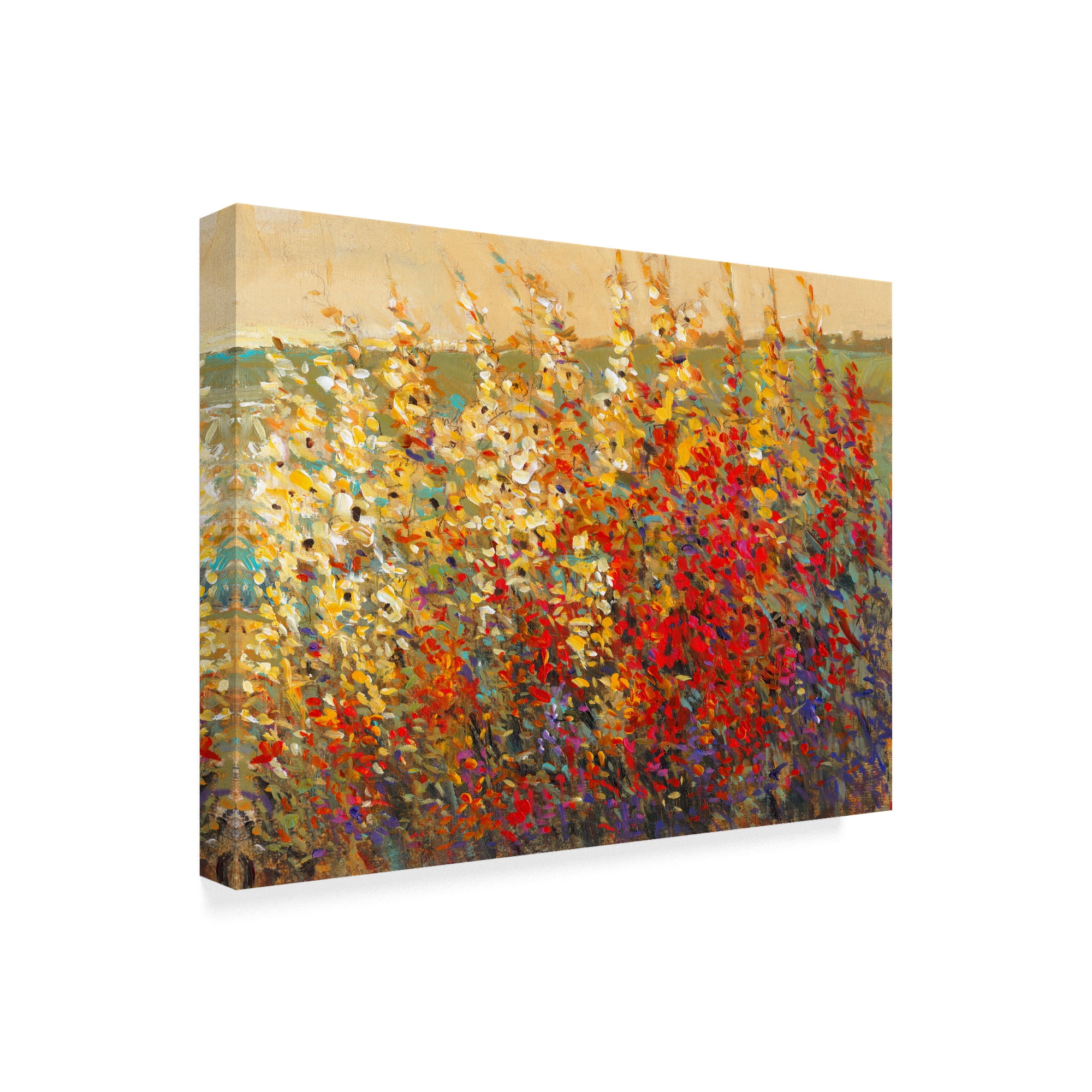 Trademark Fine Art 'Field of Spring Flowers I' Canvas Art by Tim OToole