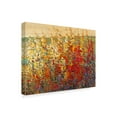 thumbnail image 2 of Trademark Fine Art 'Field of Spring Flowers I' Canvas Art by Tim OToole, 2 of 4