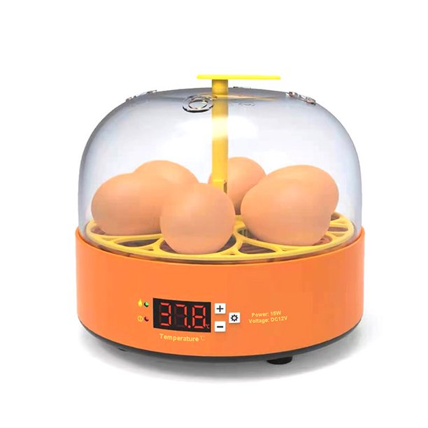 temperatura y giro para incubar pollos, patos, gansos, codornices, loros, pájaros, huevos, incubadora de huevos, 6 huevos, incubadora de aves de corral con dos piezas automáticas Shuxiu Wang 1327533058988