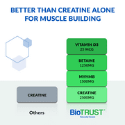 BioTrust Ageless Muscle Builder - Micronized Creatine Monohydrate Powder with HMB, Vitamin D3 & Betaine - Build & Preserve Naturally Declining Muscle Mass & Strength - Fruit Punch, 30 Servings