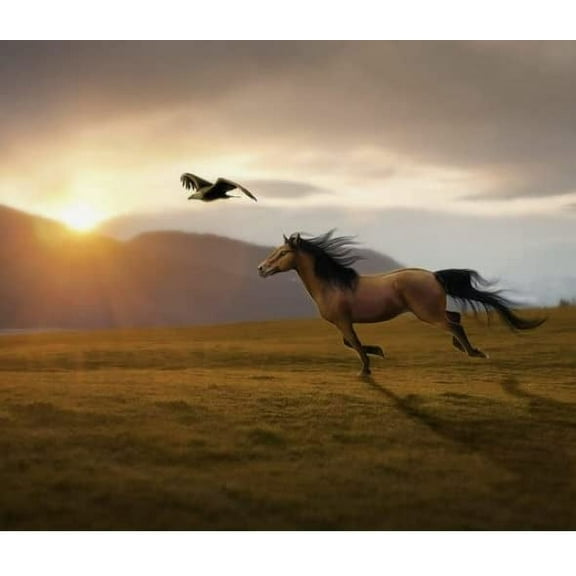 Whimsical Practicality's Horse and Eagle Edible Icing Image Cake Topper-1/4 Sheet or Larger