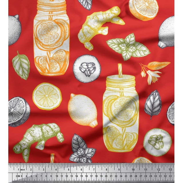 Soimoi Poly Georgette Fabric Lemon Slice Jar,Cucumber & Ginger Vegetable Print Fabric by Yard 42 Inch Wide