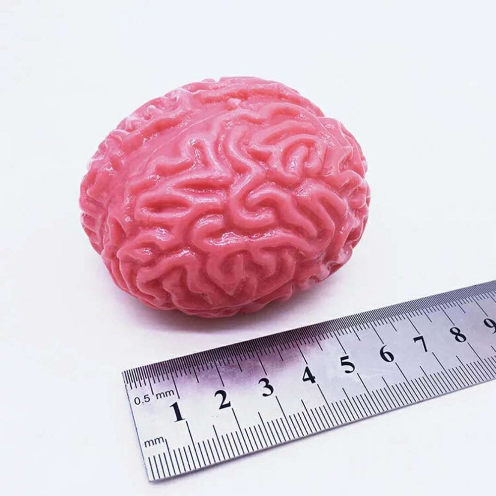 brain stress ball walmart