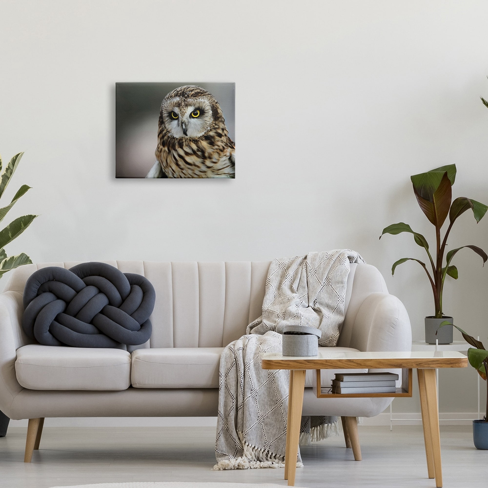 Stupell Industries Fierce Hunting Owl Modern Bokeh Photography Effect ,30 x 24, Design by Daniel Sproul