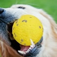thumbnail image 5 of Mozhitti Mellow Dog Calming Ball, Indestructible Dog Tennis Balls Mellow Dog Ball, Durable Dog Chew Balls for Aggressive Chewers Interactive Dog Toys Chewing Dogs Toys (Yellow), 5 of 8