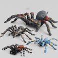 thumbnail image 2 of PENGXIANG Realistic 3D Spider Wild Insect Model Prank Halloween Trick Prop Kids Toy Gift, 2 of 10