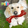 thumbnail image 3 of JUGUETE HUESO LARGO XTREME Fancy Pets FL9317, 3 of 3